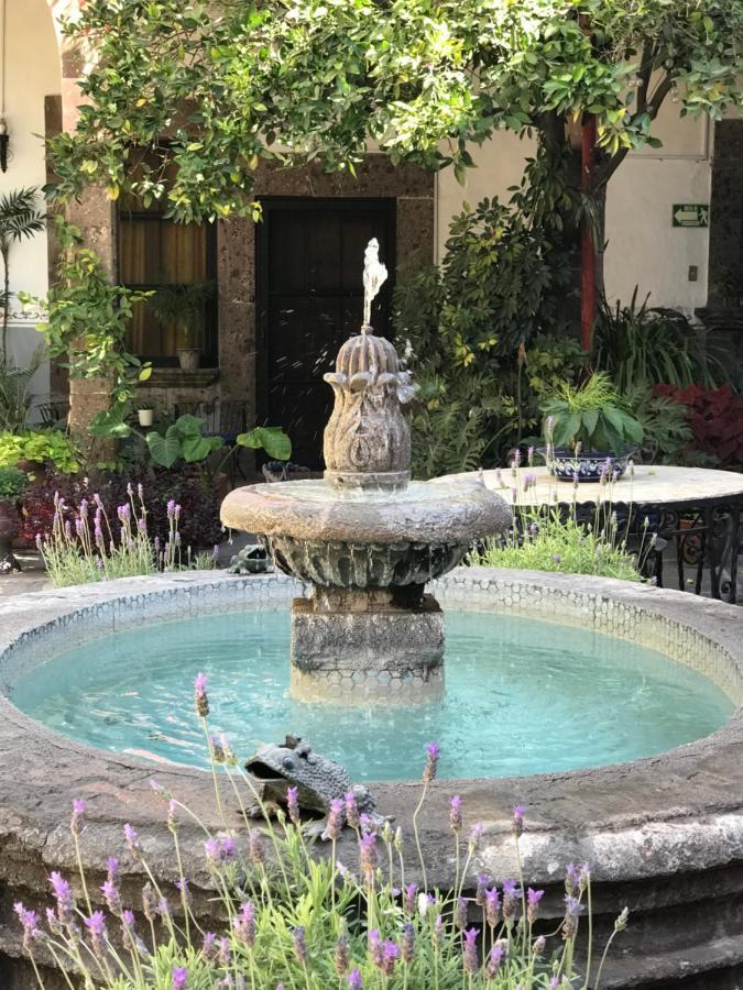 Bed and Breakfast Casa Carmen Альенде Экстерьер фото